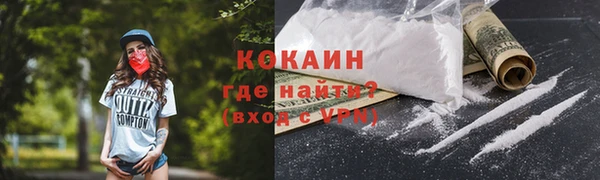 шишки Переславль-Залесский