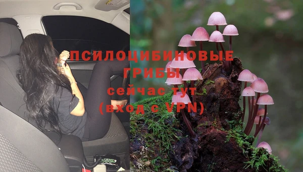mdma Белокуриха